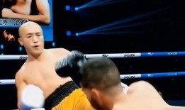 一龙深夜爆料视频,揭秘武术界不为人知的真相