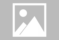 金山夜话爆料最新