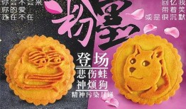 搞笑爆料月饼视频,搞笑爆料视频带你领略中秋欢乐