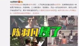 胡心宇外婆爆料视频大全,揭秘事件背后真相