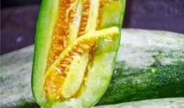 四川吃瓜网红是谁,揭秘网络红人的幕后故事