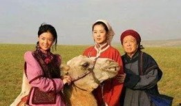 电视剧胡杨女人全集在线观看,穿越时空的坚韧传奇