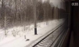 雪国列车在线观看,末世列车上的生存与救赎