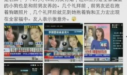 大事件真实爆料视频,独家视频爆料背后的真相