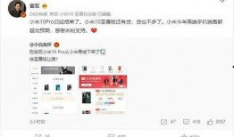 官方不让爆料吗最新消息,严令禁止泄露内部消息，揭秘背后真相！”