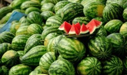 网红吃的一种瓜是什么瓜,究竟是什么瓜？揭秘网红圈流行新宠