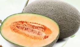 网红哈密瓜能放多少天吃,揭秘保鲜技巧，轻松存放享受美味长达数天