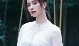 刘诗诗爆料肖战了吗视频,独家爆料视频揭秘真相