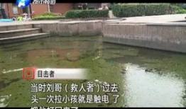五华目击现场爆料视频,惊心动魄一幕，视频揭露惊人真相