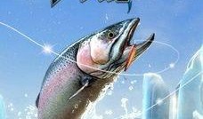 爆料钓鱼大师是谁啊视频,视频背后的神秘人物