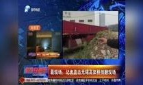 河南都市新闻爆料视频,揭秘背后惊人真相！