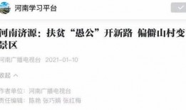 河南村里爆料新闻视频,惊人事件引发村民热议
