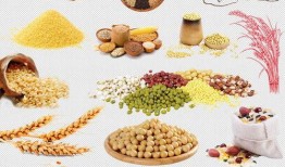 粉丝爆料生假娃娃视频,揭秘生假娃娃视频背后的惊人真相