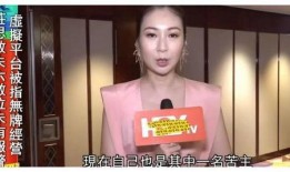 直播爆料港星是谁啊视频,揭秘港星身份之谜