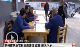 三桥最新爆料消息新闻,揭秘重大新闻背后的真相与内幕