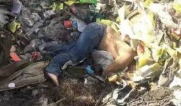 玉田最近网友爆料视频,揭秘当地神秘事件真相！