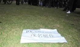 茂名群众爆料事件最新,揭开背后真相，探寻正义之路