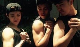 狼狗最新爆料视频大全播放,揭秘娱乐圈幕后真相