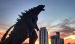 荒野新皮肤爆料视频,揭秘神秘爆料视频背后的精彩细节