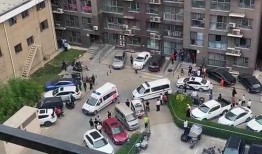 廊坊16中最新爆料,独家爆料带你走进校园新篇章”