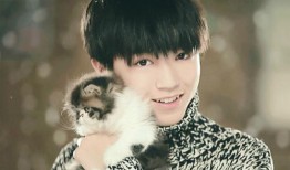 王俊凯狗仔爆料视频合集,揭秘明星私生活瞬间