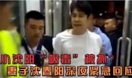 小沈阳老婆爆料视频全集,揭秘夫妻生活与娱乐圈幕后真相