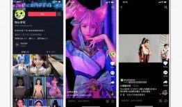 网红的爆料视频大全,揭秘娱乐圈幕后真相