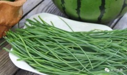 徽县吃瓜网红,揭秘当地美食文化新风尚