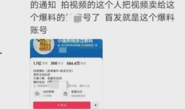 拍爆料视频标题选什么,揭秘拍爆料视频背后的真相与内幕