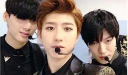 爆料蔡徐坤连麦事件视频,揭秘网络红人幕后真相