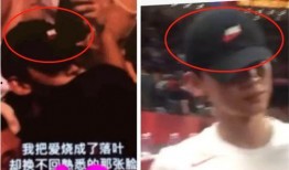 爆料马思纯男友视频大全,盘点甜蜜瞬间