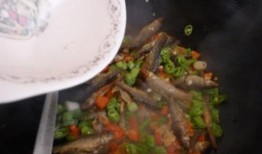 蚝油小鱼爆料视频大全图片,视频大全图片揭秘幕后故事