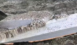 天涯最新爆料坠机,最新坠机事件背后惊人内幕曝光