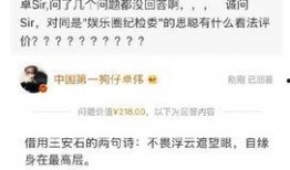 卓伟爆料风行视频,风行视频背后惊人内幕曝光