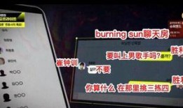 录视频爆料,背后真相与幕后推手