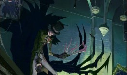 怪鸟园丁爆料视频,揭秘园中奇闻异事