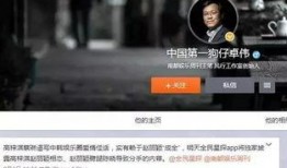 卓伟爆料风行视频,风行视频背后惊人内幕曝光