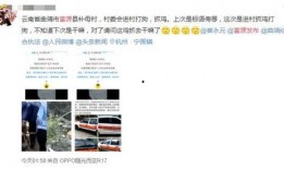 爆料鸡的视频播放,视频播放背后的热门话题与现象