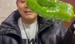 网红周丽珊吃瓜视频,揭秘娱乐圈幕后真相