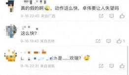 任嘉伦卓伟爆料视频播放,揭秘明星幕后真相