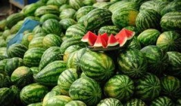 亳州网红吃瓜事件,一场网络狂欢背后的真相揭秘