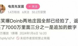 大b最新爆料,最新爆料背后的惊人真相