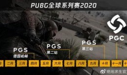 pubg愚者系列最新爆料,Pubg愚者系列新爆料，神秘角色与全新玩法即将揭晓！
