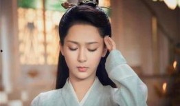 杨紫小说爆料最新,揭秘娱乐圈背后的秘密与真相