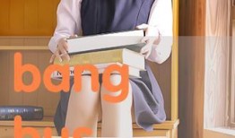 bangbus在线观看,Bangbus在线观看现象背后的真相