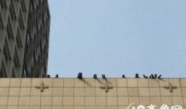 济南楼顶爆料案件最新,惊曝高空惊魂，真相即将揭晓