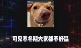 娱乐八卦开心吃瓜,明星们的甜蜜瓜田