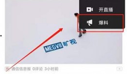 头条爆料入口视频在线观看,独家视频在线观看，带你直击热点事件现场