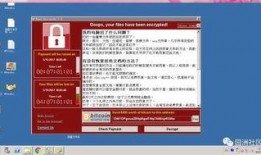 园洲今日爆料新闻直播