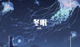 冬眠在线观看,在线观看，揭秘神秘冬眠现象的奇幻之旅